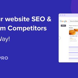 WP Schema Pro 2.9.0
